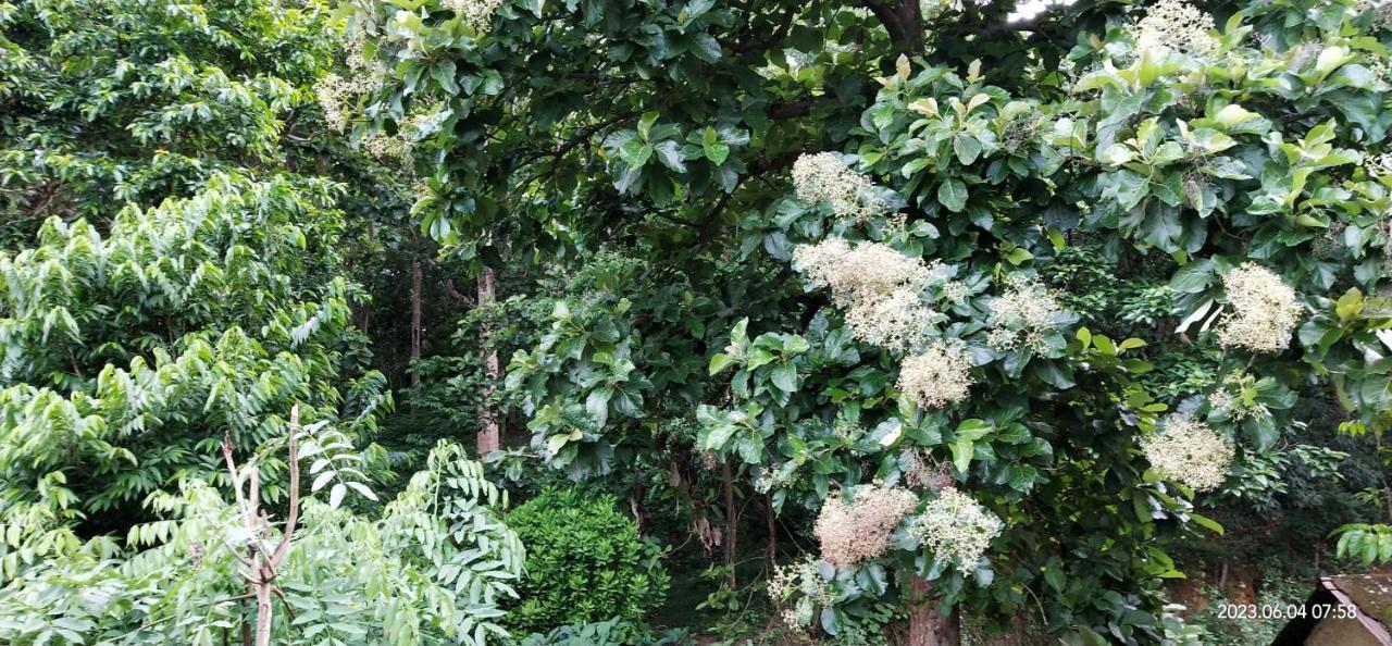 Floral Homestay Thekkady Esterno foto